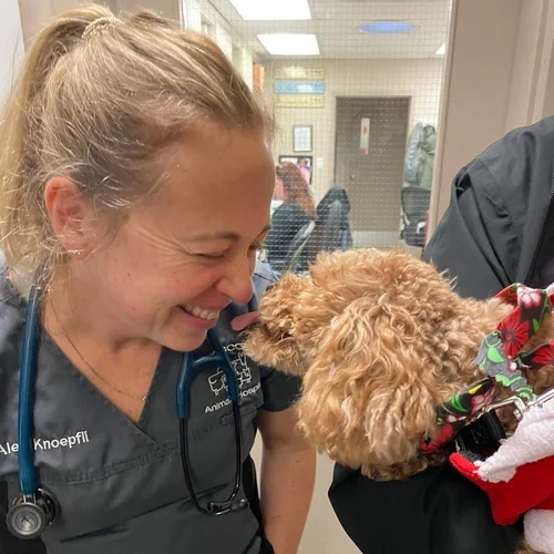 Vet with a poodle mix