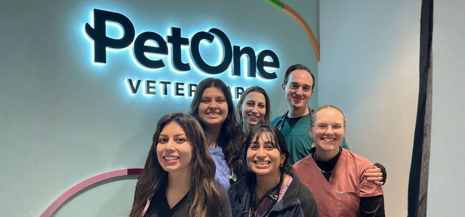 A Community That Has Your Back: Supporting Your Growth From Your First Year and Beyond