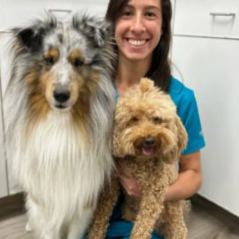 Dr. Maite Taam holding two dogs Dr. Maite Taam holding two dogs