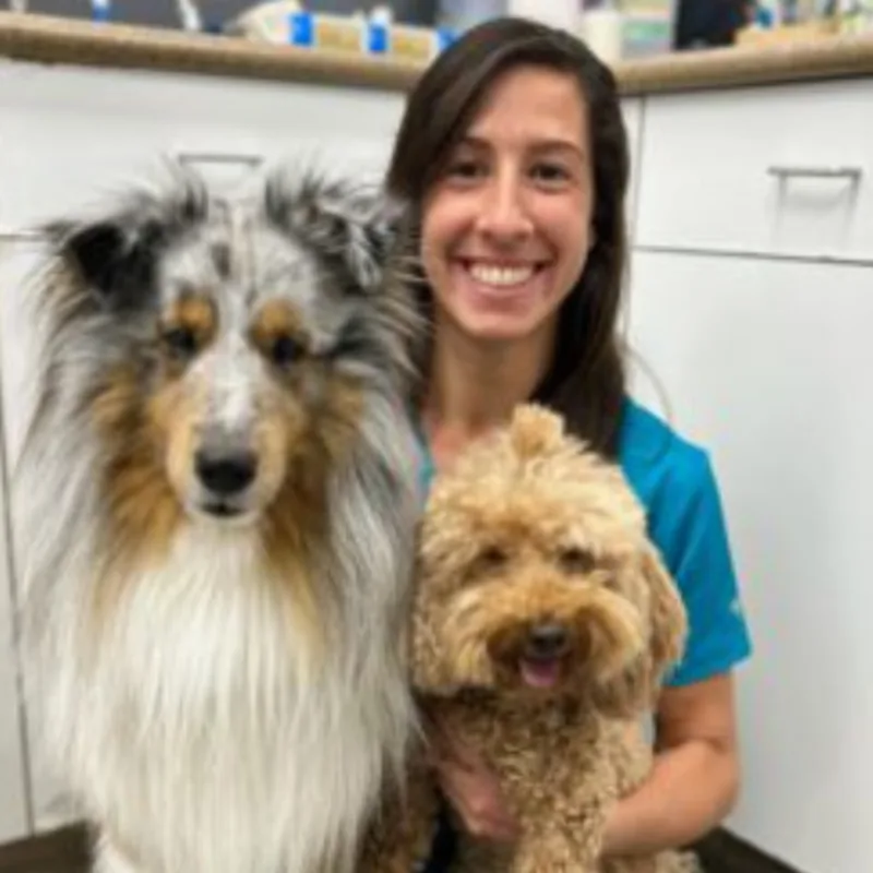 Dr. Maite Taam holding two dogs Dr. Maite Taam holding two dogs