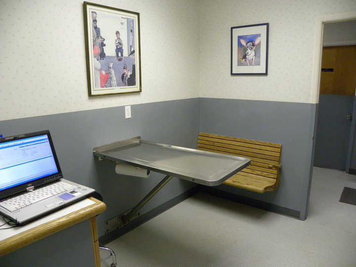 East Lake Animal Clinic's Exam Room 2 which consist of a small desk with a laptop, adjustable checkup table and bench