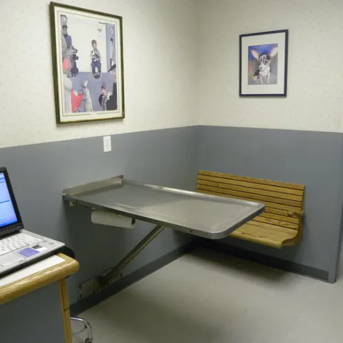 East Lake Animal Clinic's Exam Room 2 which consist of a small desk with a laptop, adjustable checkup table and bench