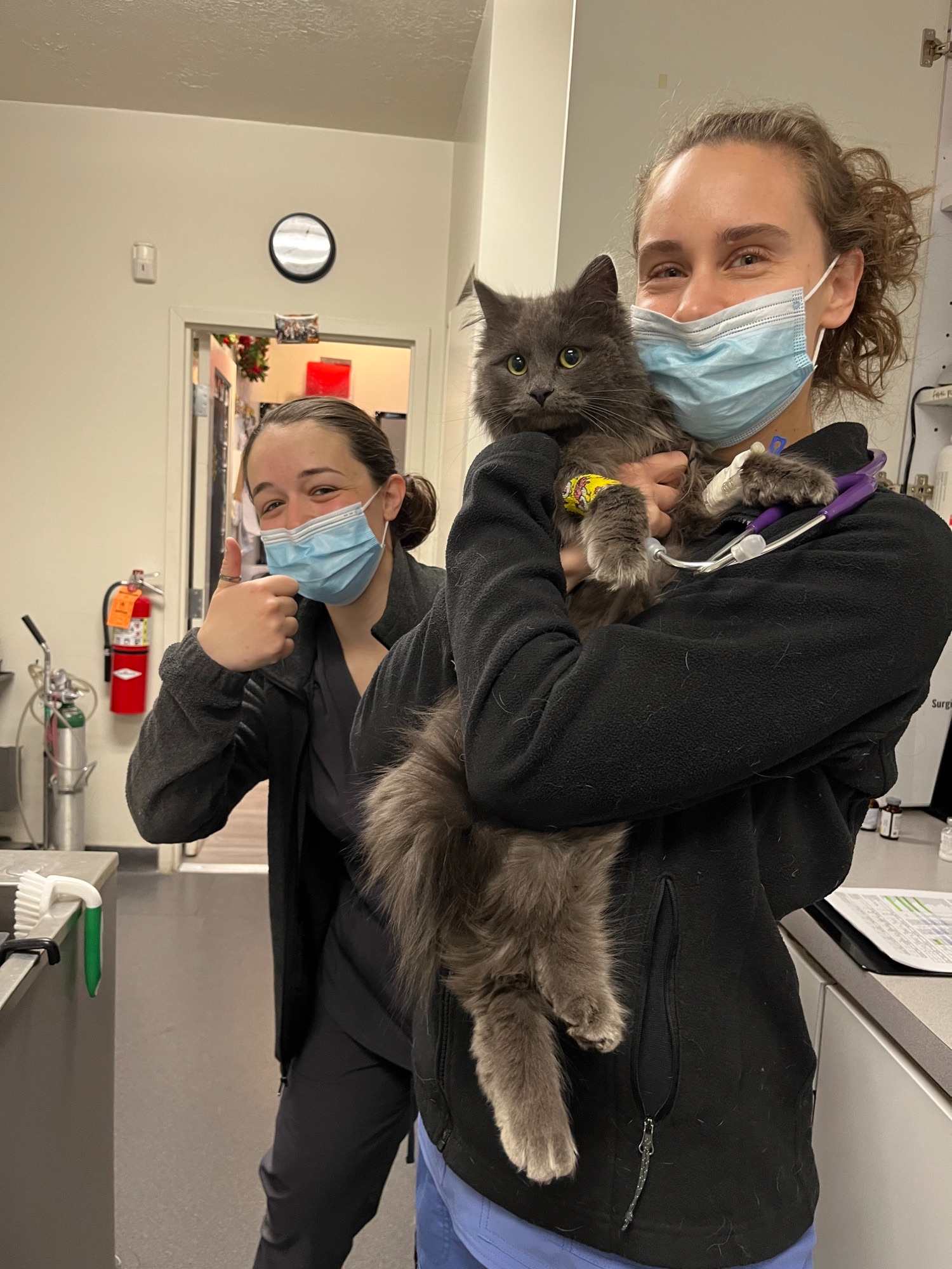 Two women wearing masks, one holding a grey cat and one with thumbs up.
