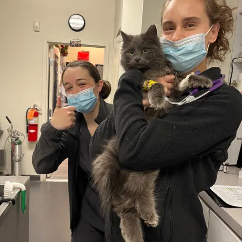 Two women wearing masks, one holding a grey cat and one with thumbs up.