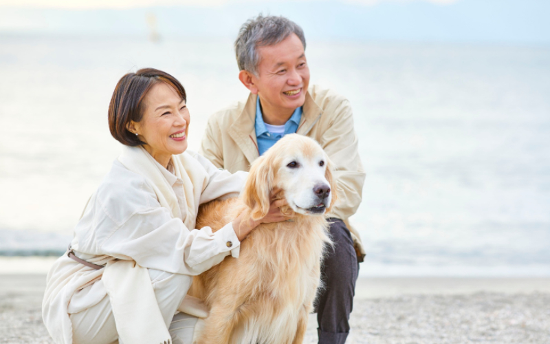 A Couple Hugging a Senior/Older Dog