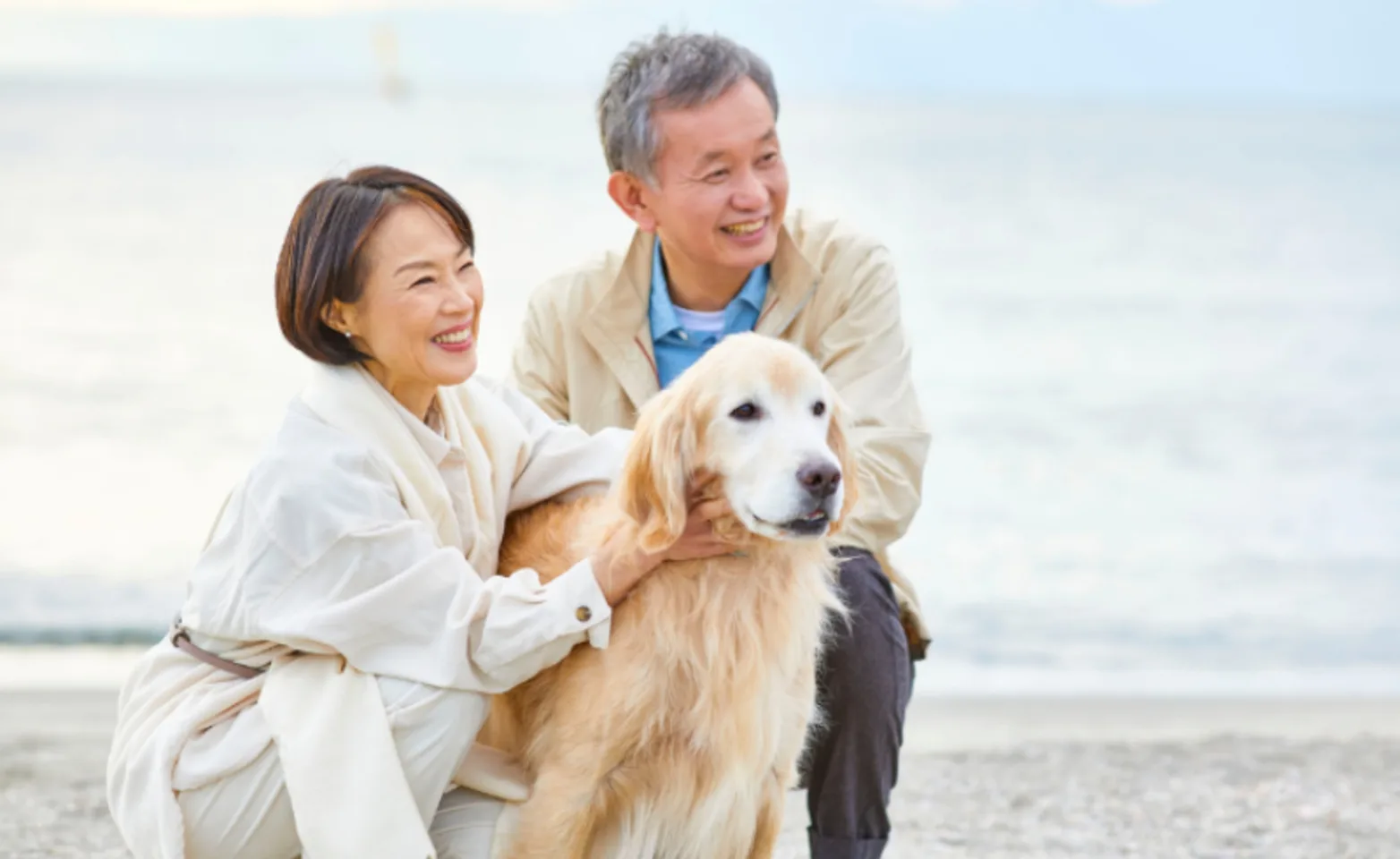 A Couple Hugging a Senior/Older Dog A Couple Hugging a Senior/Older Dog
