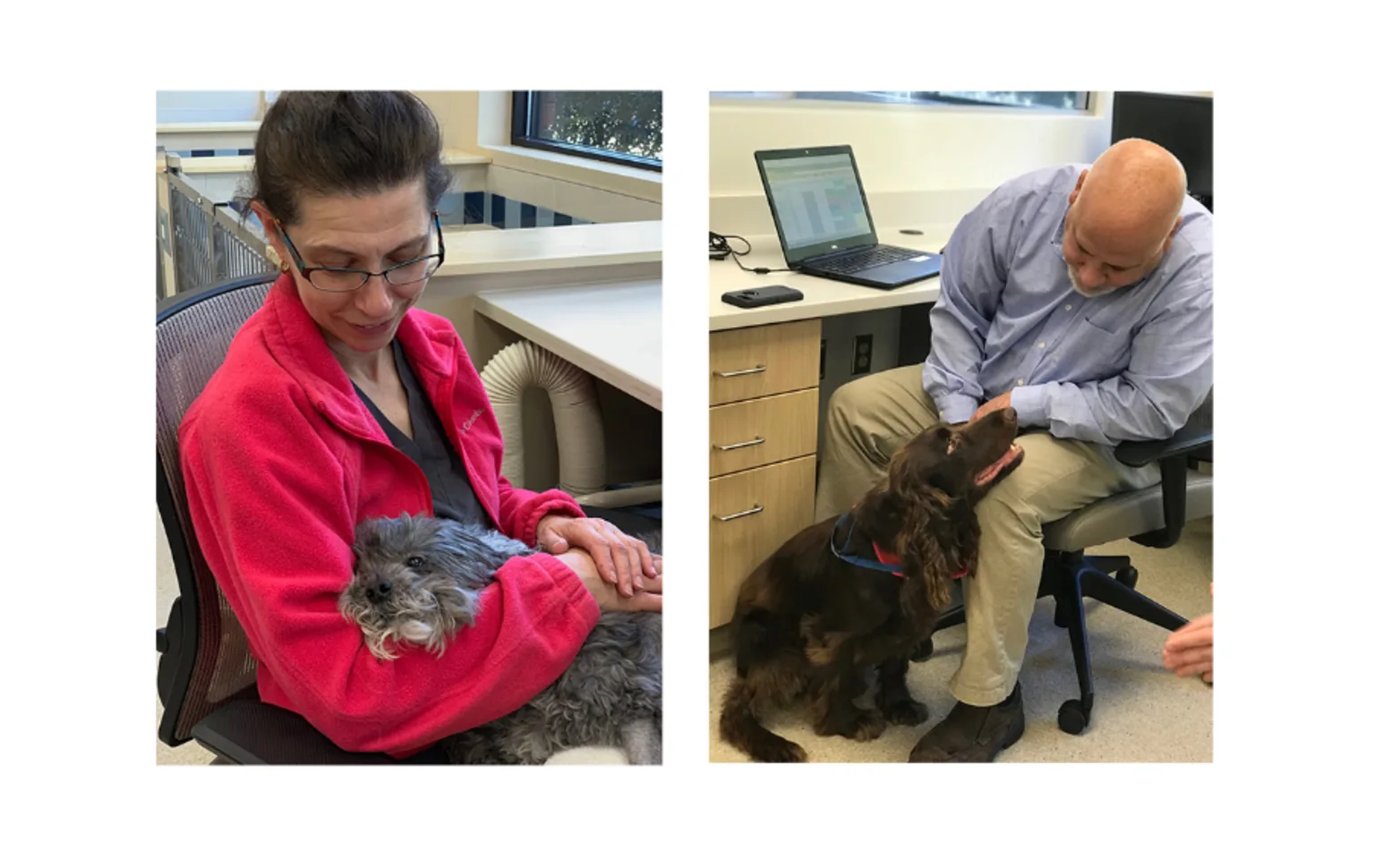 A collage of two images of VSB staff giving attention to different dogs