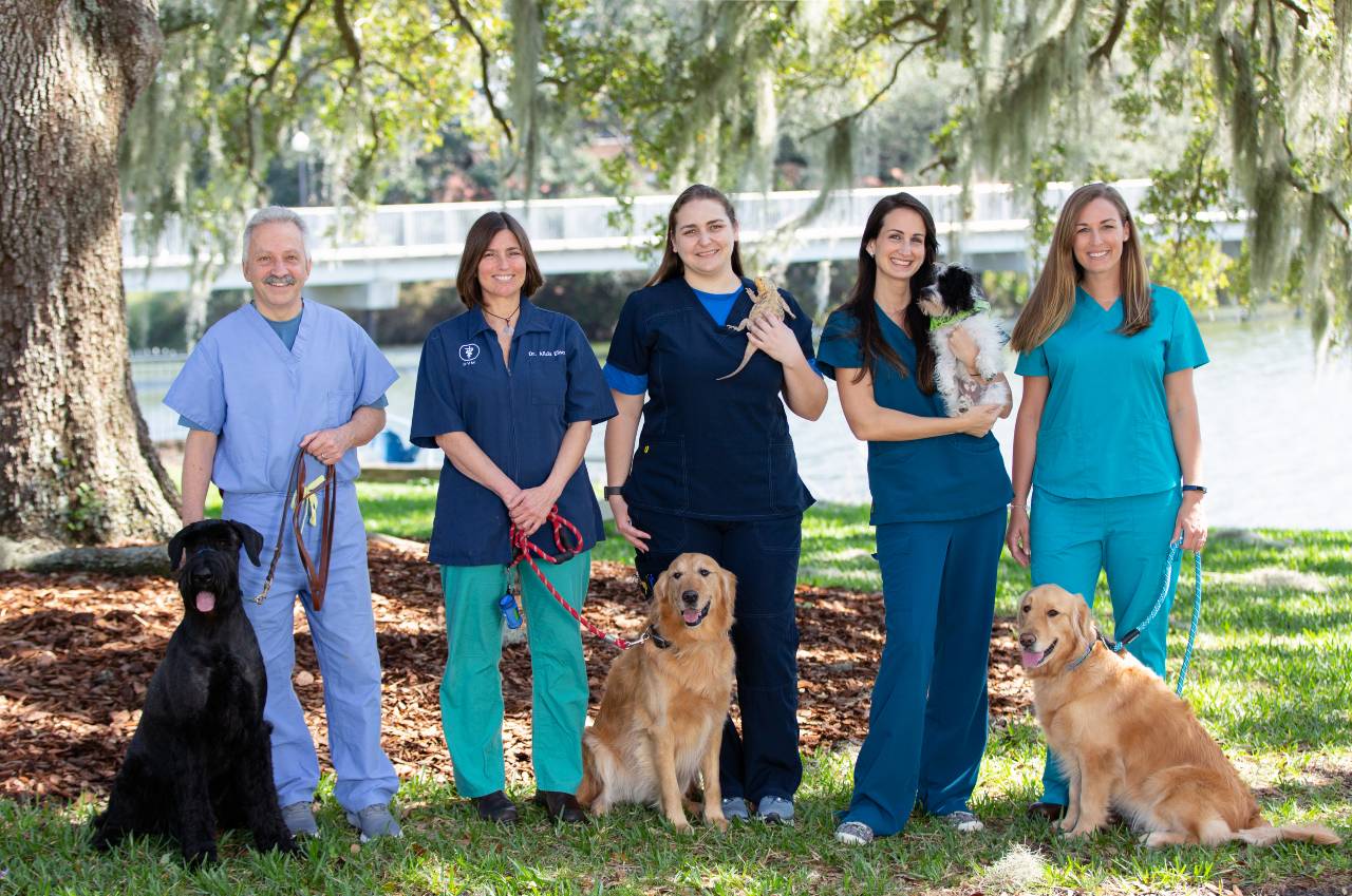 Veterinary Care in Orlando | Kirkman Road Veterinary Clinic