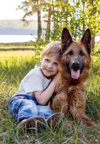 Boy Sitting with German Shepard Outside