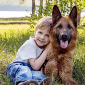 Boy Sitting with German Shepard Outside