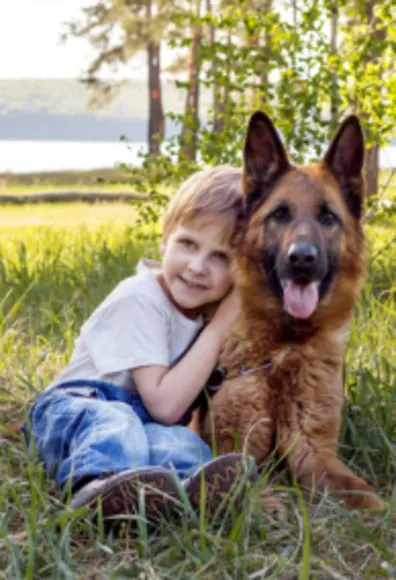 Boy Sitting with German Shepard Outside