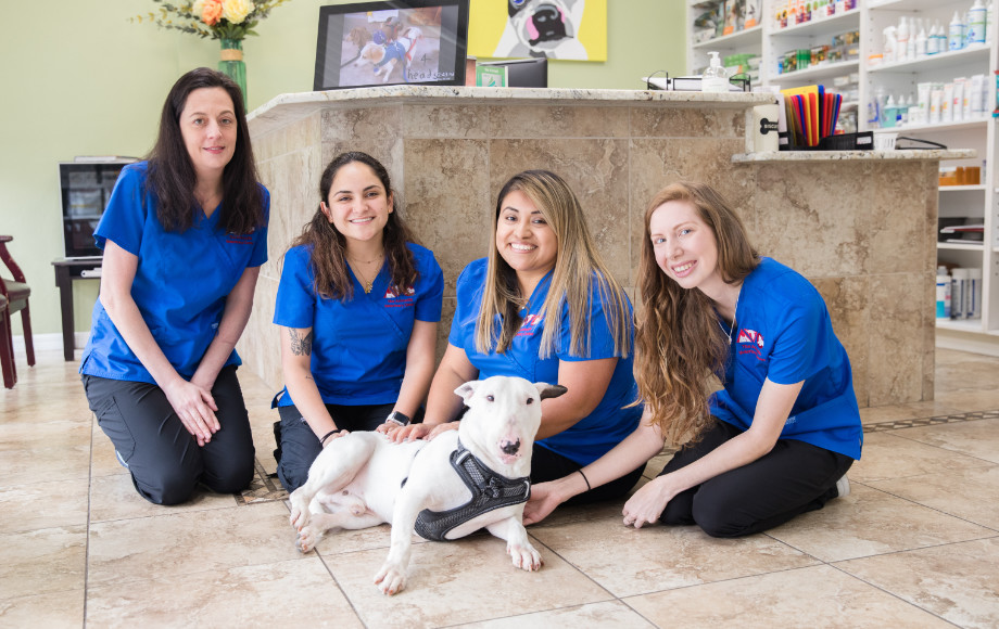 Mission hills hot sale veterinary clinic