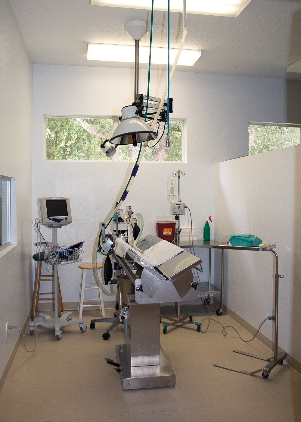 Surgery suite at University Animal Hospital.