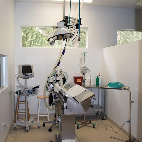 Surgery suite at University Animal Hospital. Surgery suite at University Animal Hospital.