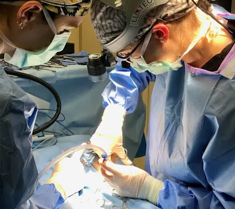 Two doctors examining a patient