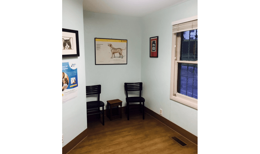 Linda Mar Veterinary Hospital Gallery Room and seating area