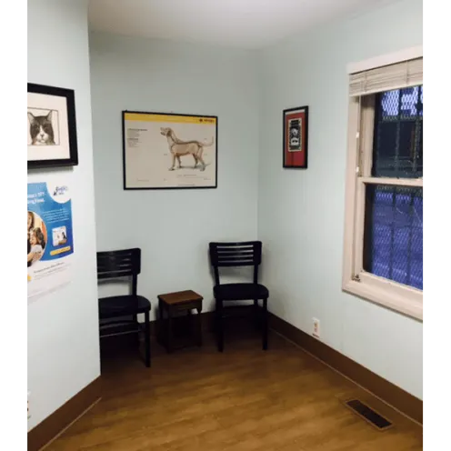 Linda Mar Veterinary Hospital Gallery Room and seating area