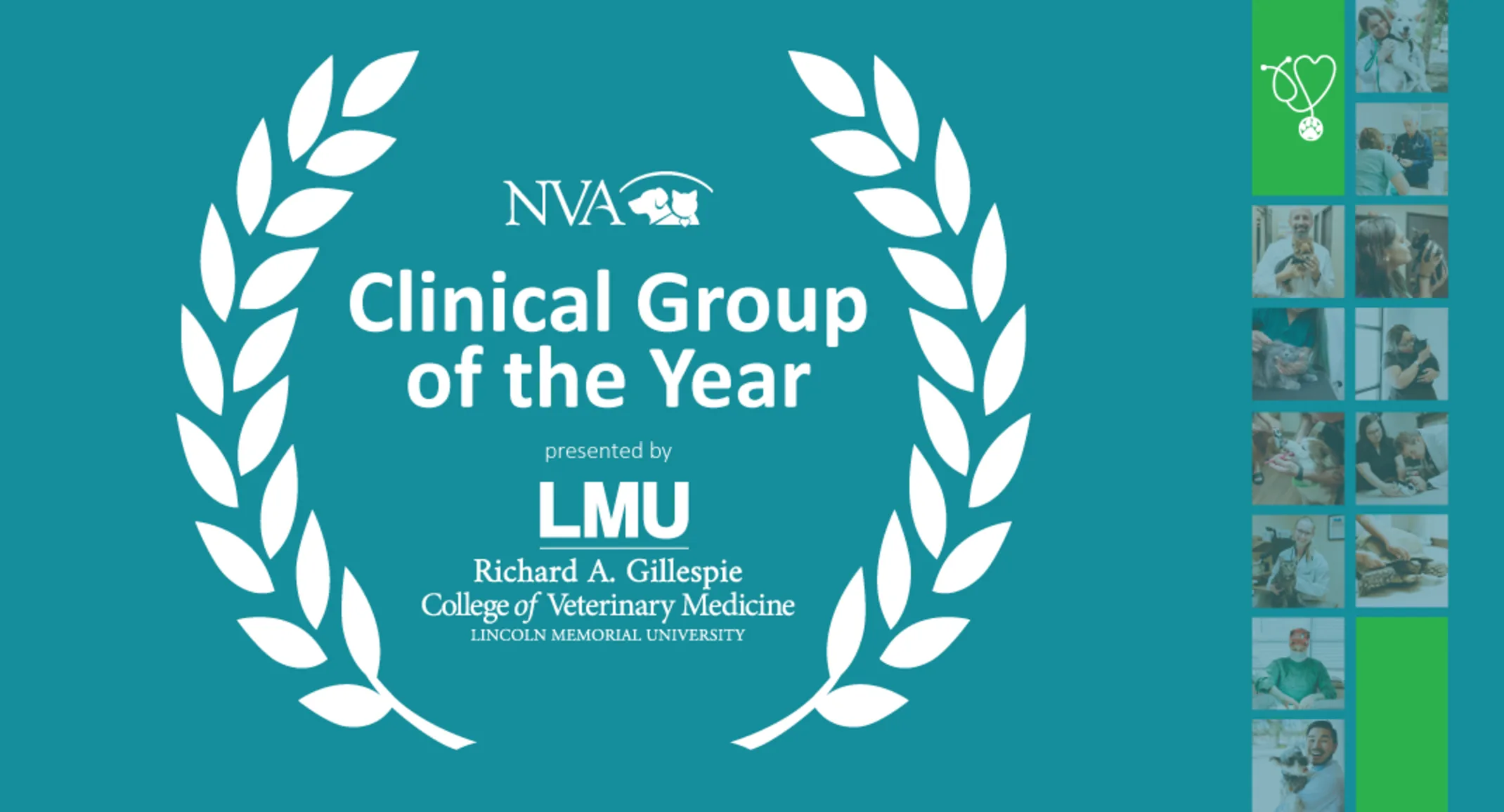 Clinical Group of the Year, Lincoln Memorial University insignia