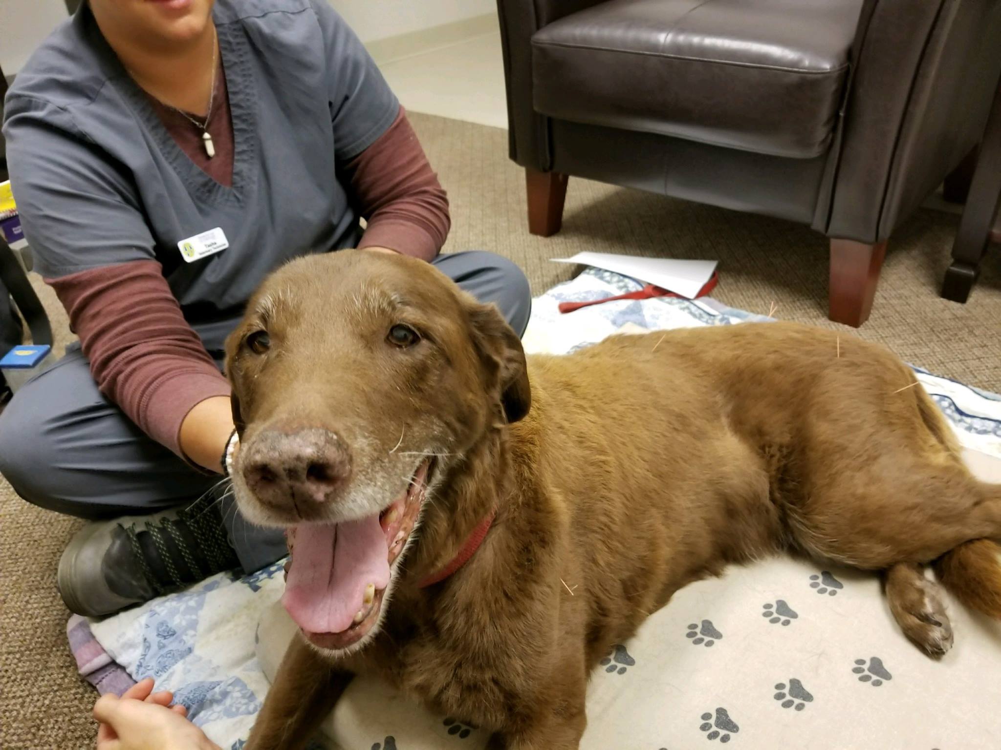 Staff sitting with a smiling dog 