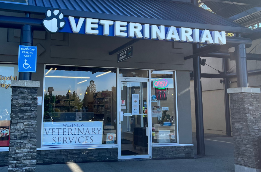Veterinary Care in North Vancouver, BC Westview Veterinary Services