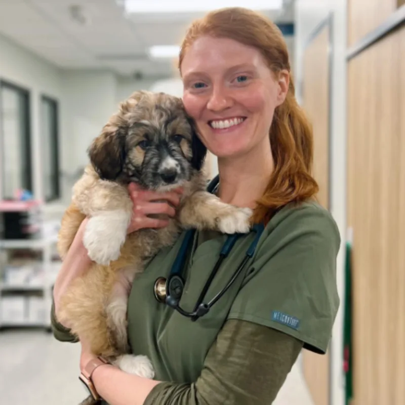 A veterinarian posing with a dog A veterinarian posing with a dog
