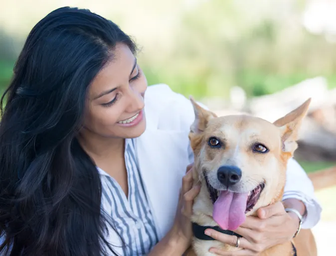 Dog with tongue out Dog with tongue out