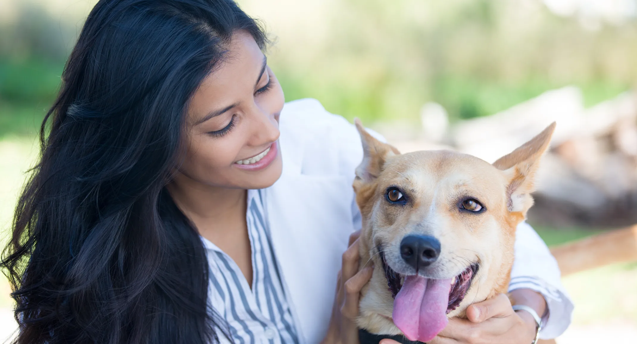 Dog with tongue out Dog with tongue out