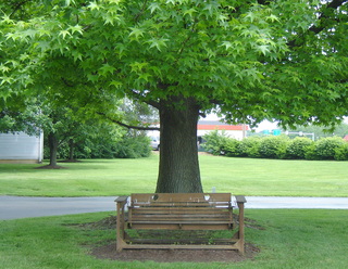  Florissant Animal Hospital Bench