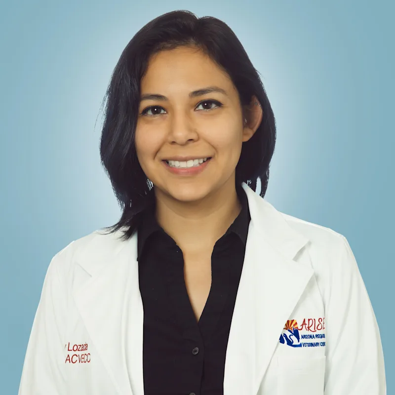 Dr. Becky Lozada, DACVECC Dr. Becky Lozada, DACVECC