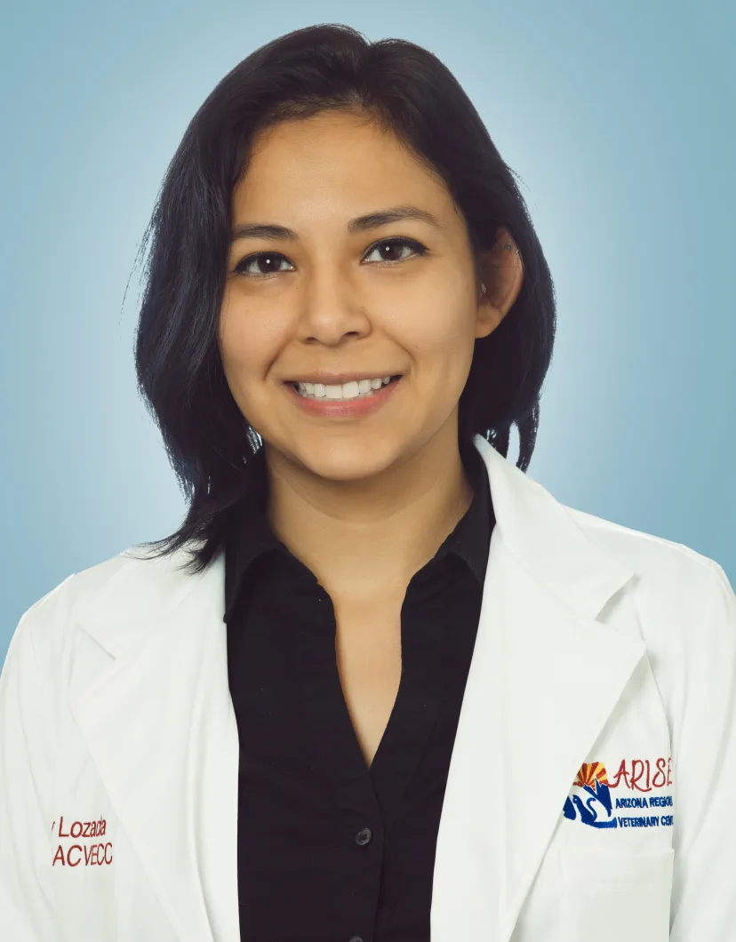Dr. Becky Lozada, DACVECC