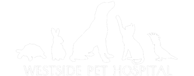 Westside Pet Hospital  Logo Westside Pet Hospital  Logo