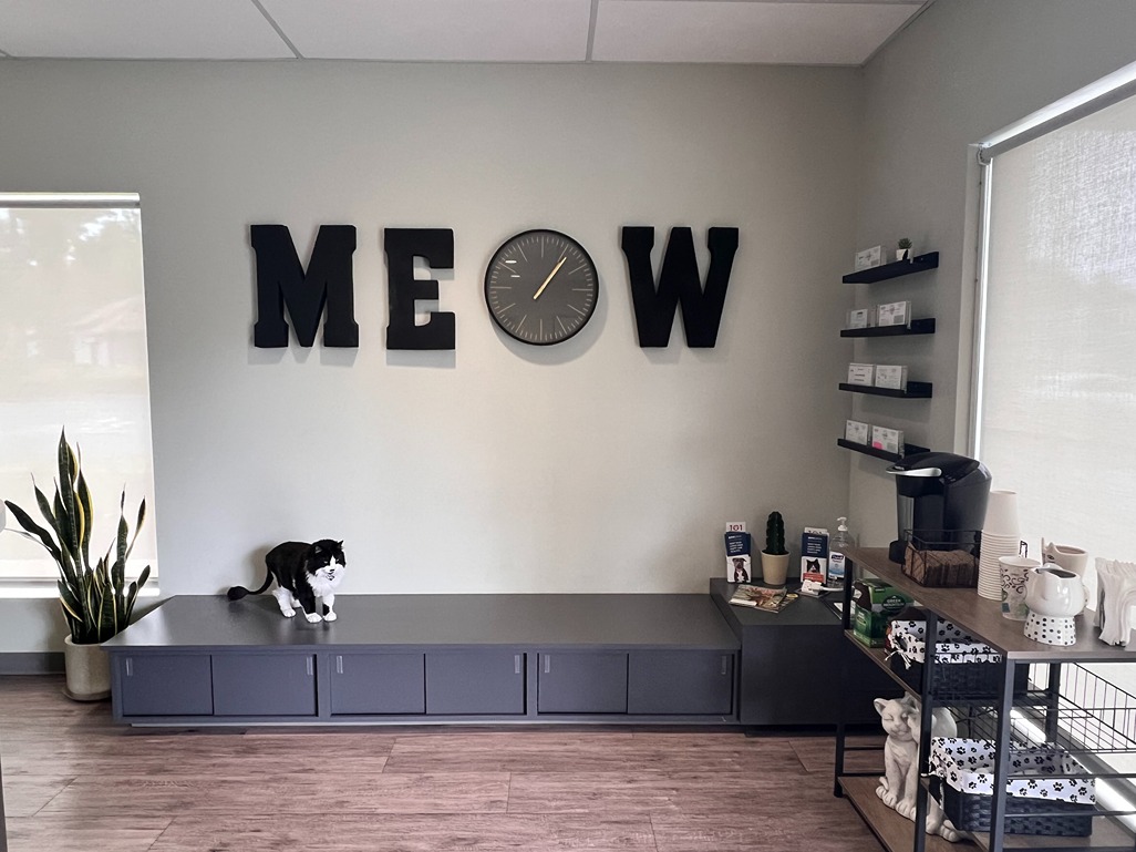 Pleasanton Veterinary Hospital Front Lobby with coffee station