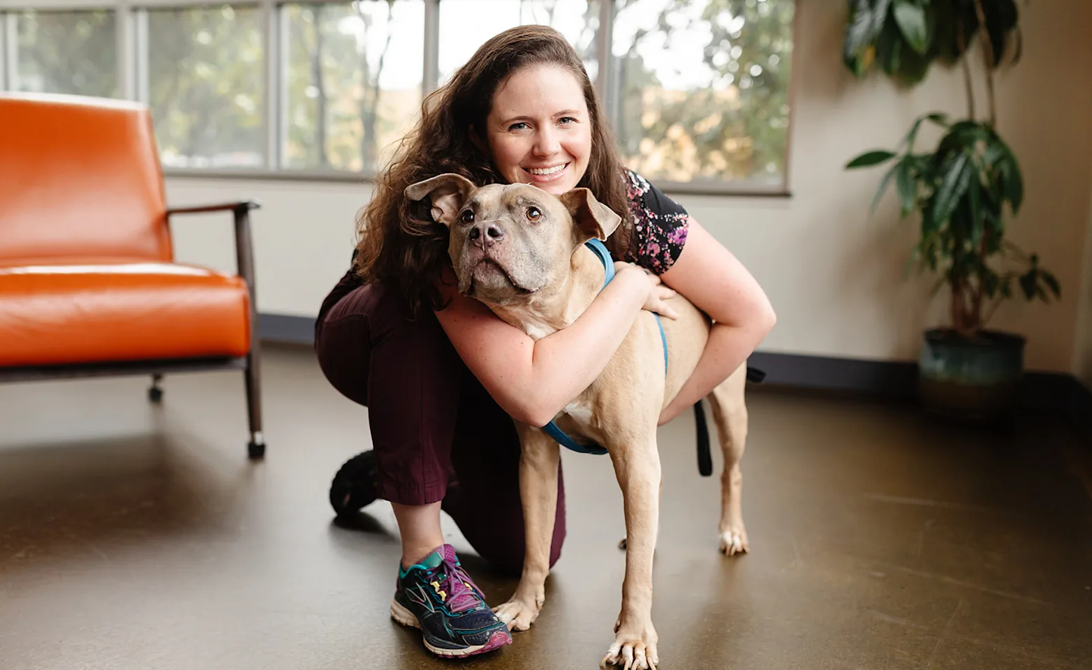 person hugging brown dog from behind person hugging brown dog from behind