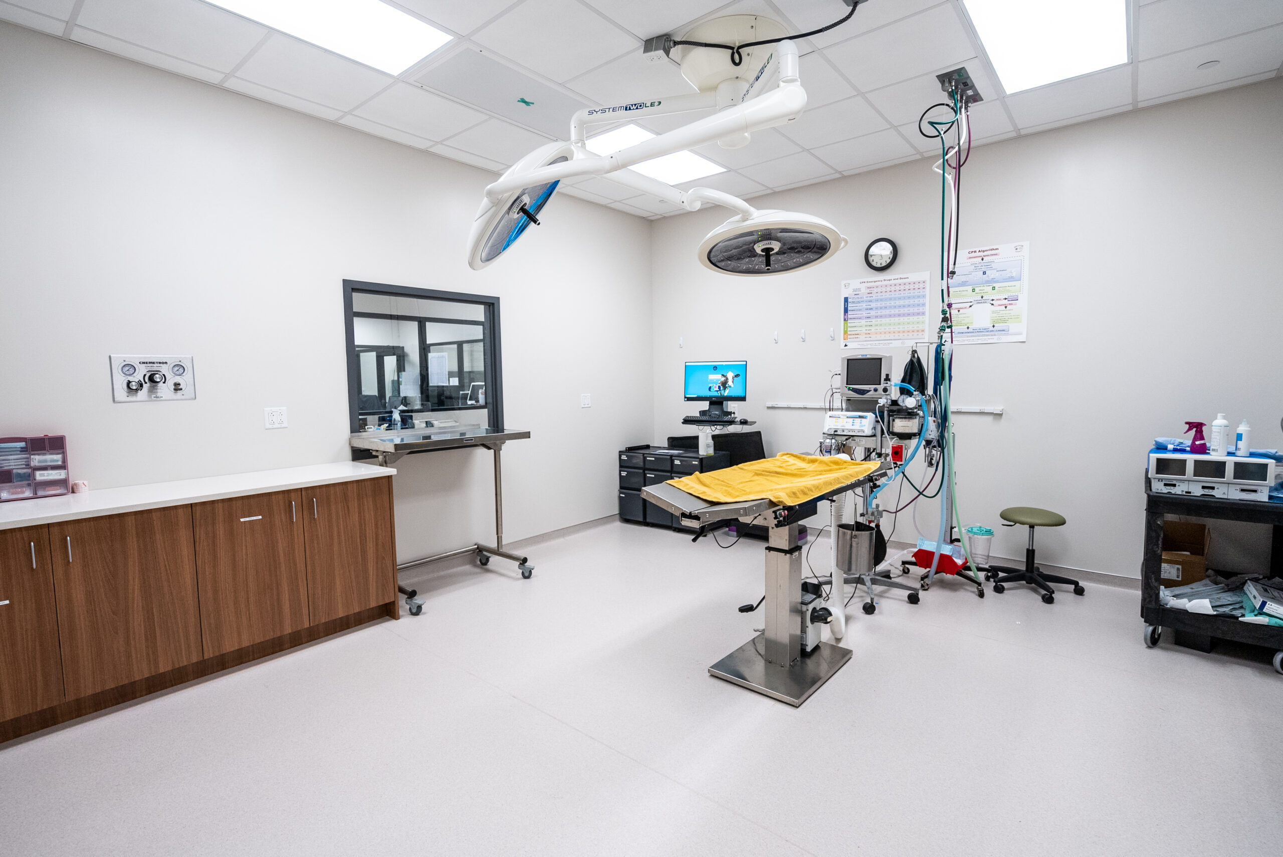 Red Bank Veterinary Hospital Hillsborough facility