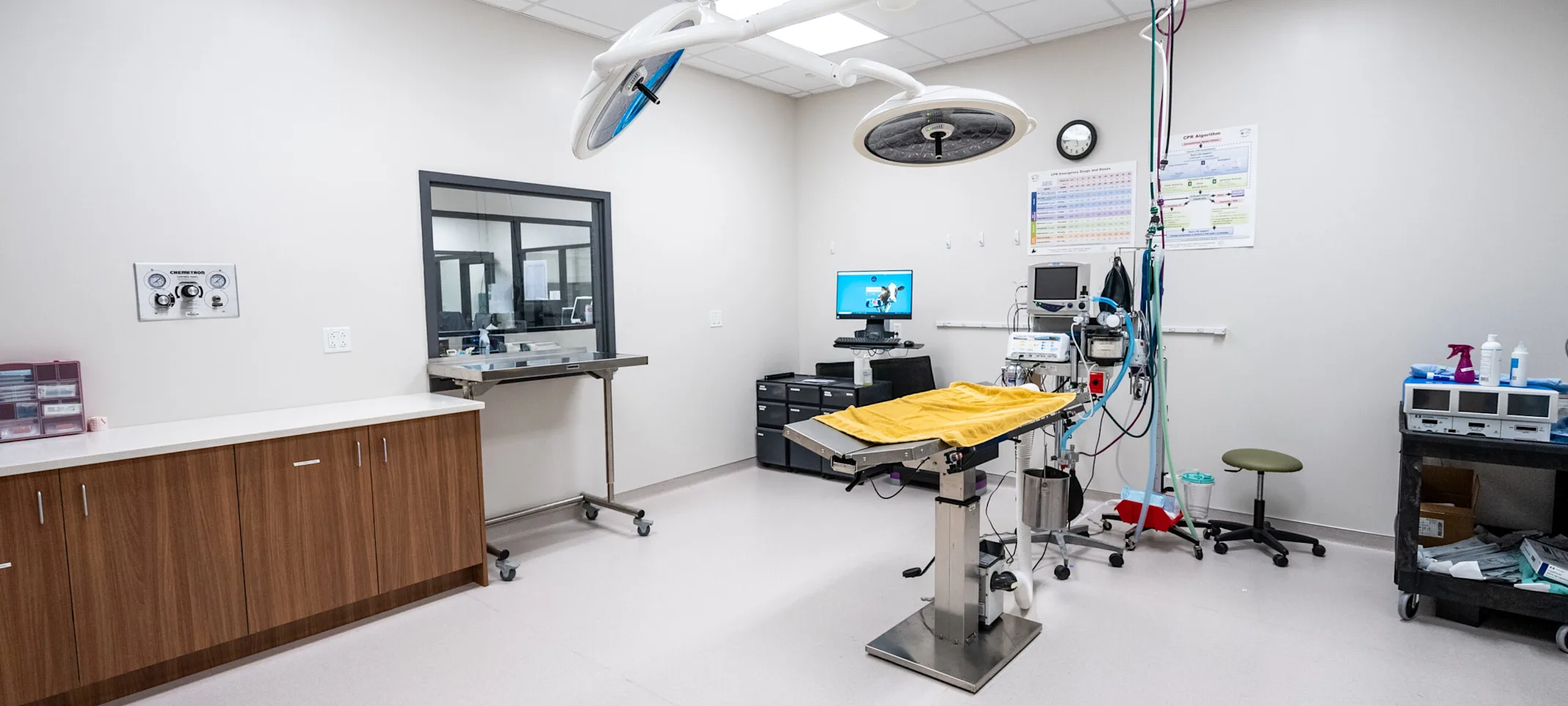 Red Bank Veterinary Hospital Hillsborough facility Red Bank Veterinary Hospital Hillsborough facility