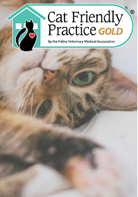 A cat laying on a bed, with an overlay of the logo for Cat Friendly Practice