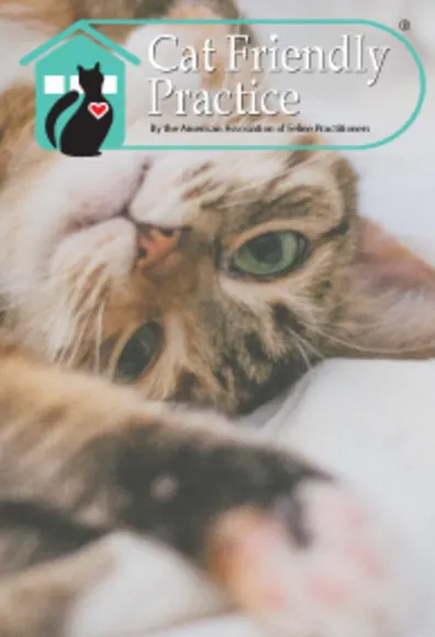 A cat laying on a bed, with an overlay of the logo for Cat Friendly Practice