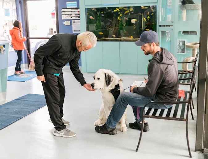 Dog sitting in waiting room with owner and person approaching with hand out. Dog sitting in waiting room with owner and person approaching with hand out.