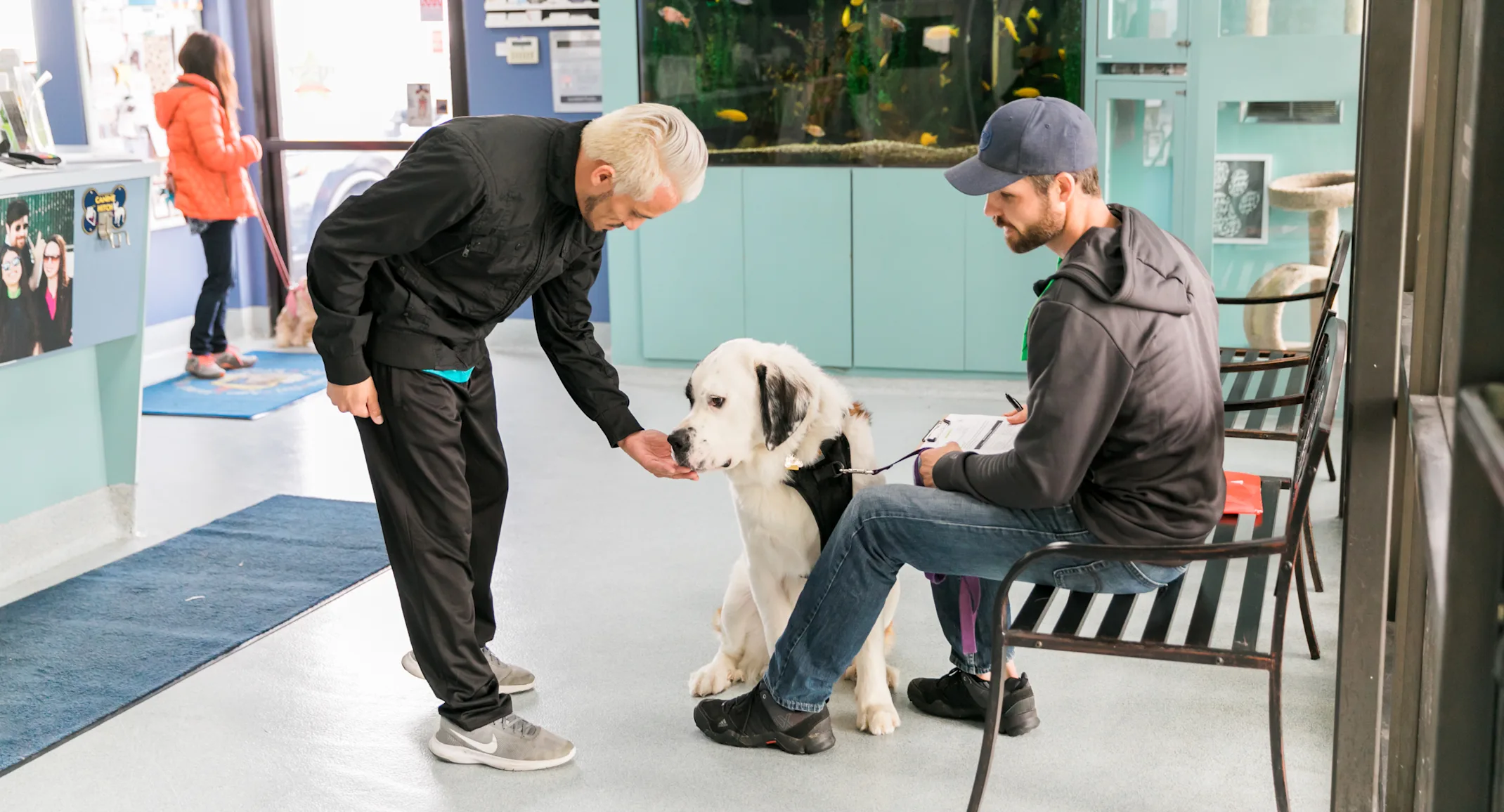 Dog sitting in waiting room with owner and person approaching with hand out. Dog sitting in waiting room with owner and person approaching with hand out.