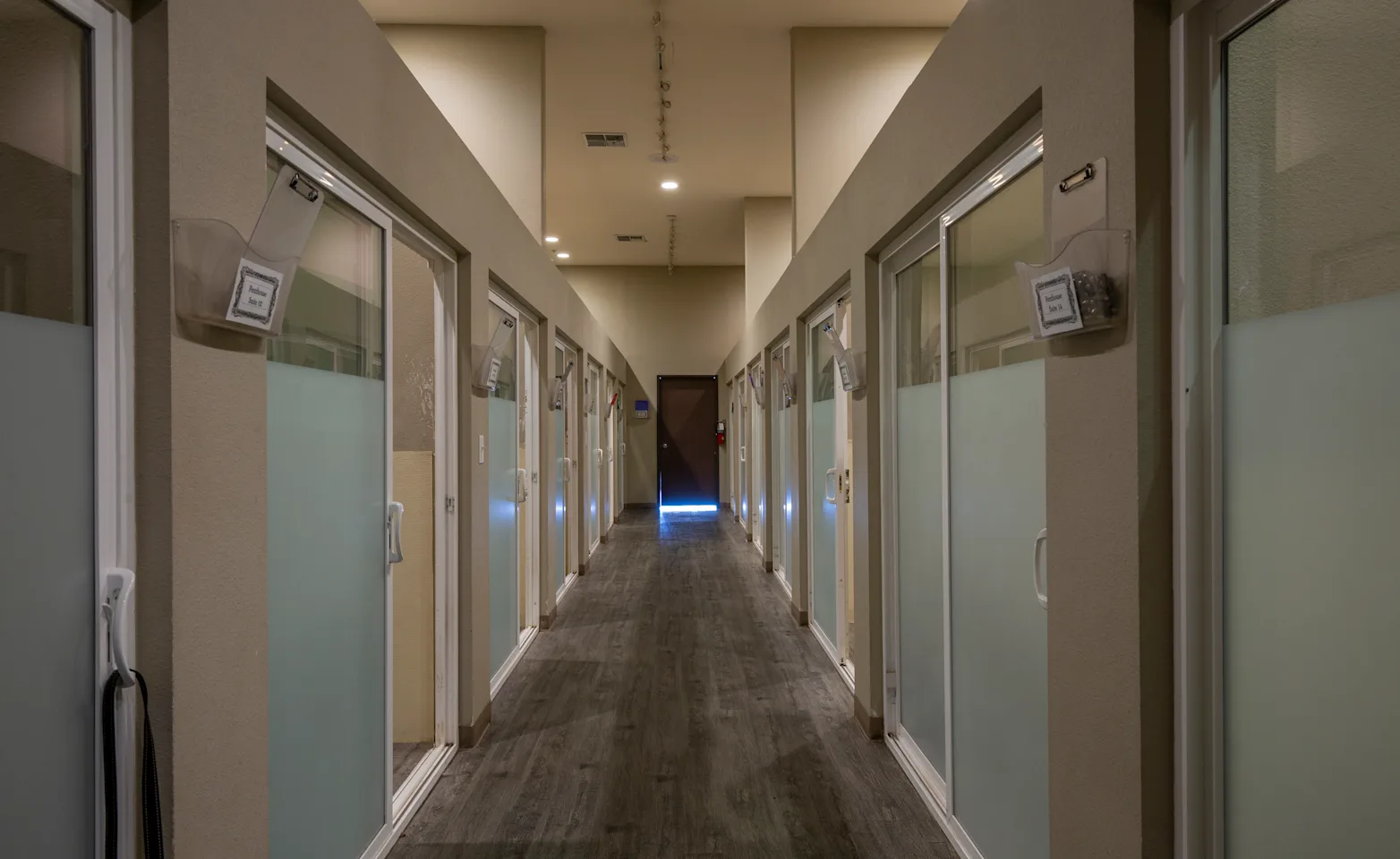 dog boarding and indoor luxury kennels dog boarding and indoor luxury kennels