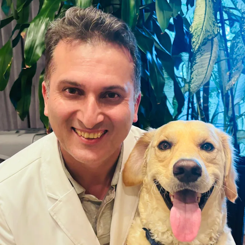Dr Akbar Namdari Dr Akbar Namdari
