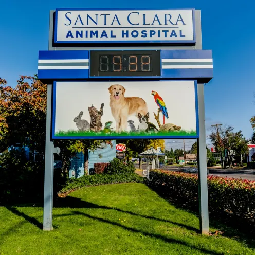 Santa Clara Animal Hospital Sign