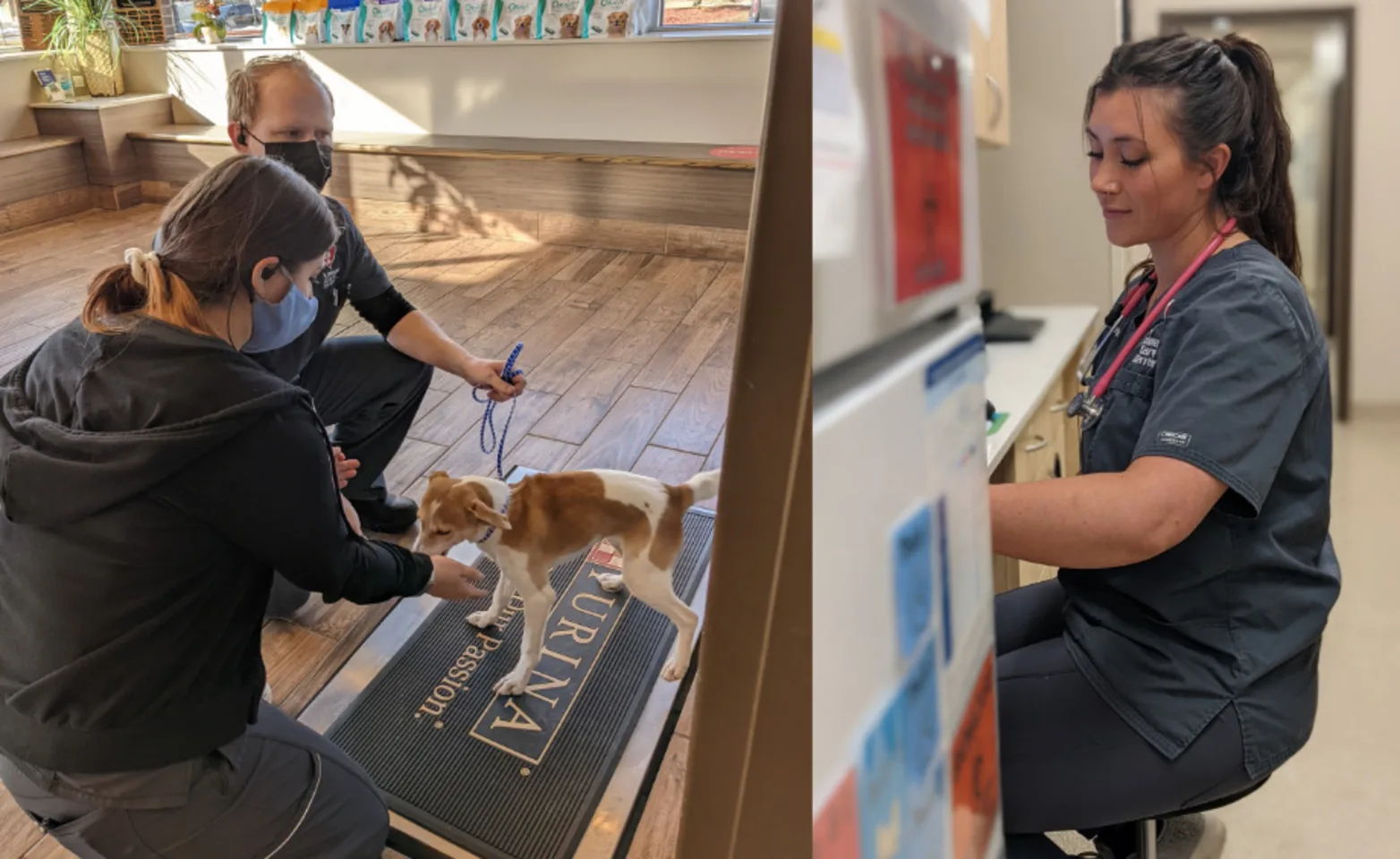 Veterinarians working at Animal Care Center of Shorewood Veterinarians working at Animal Care Center of Shorewood