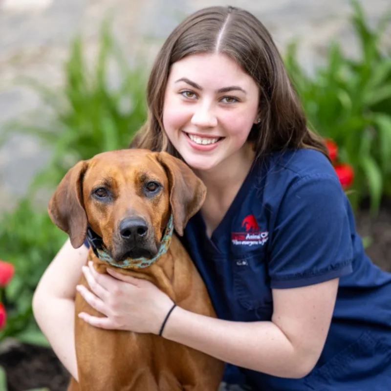 placeholder picture placeholder picture