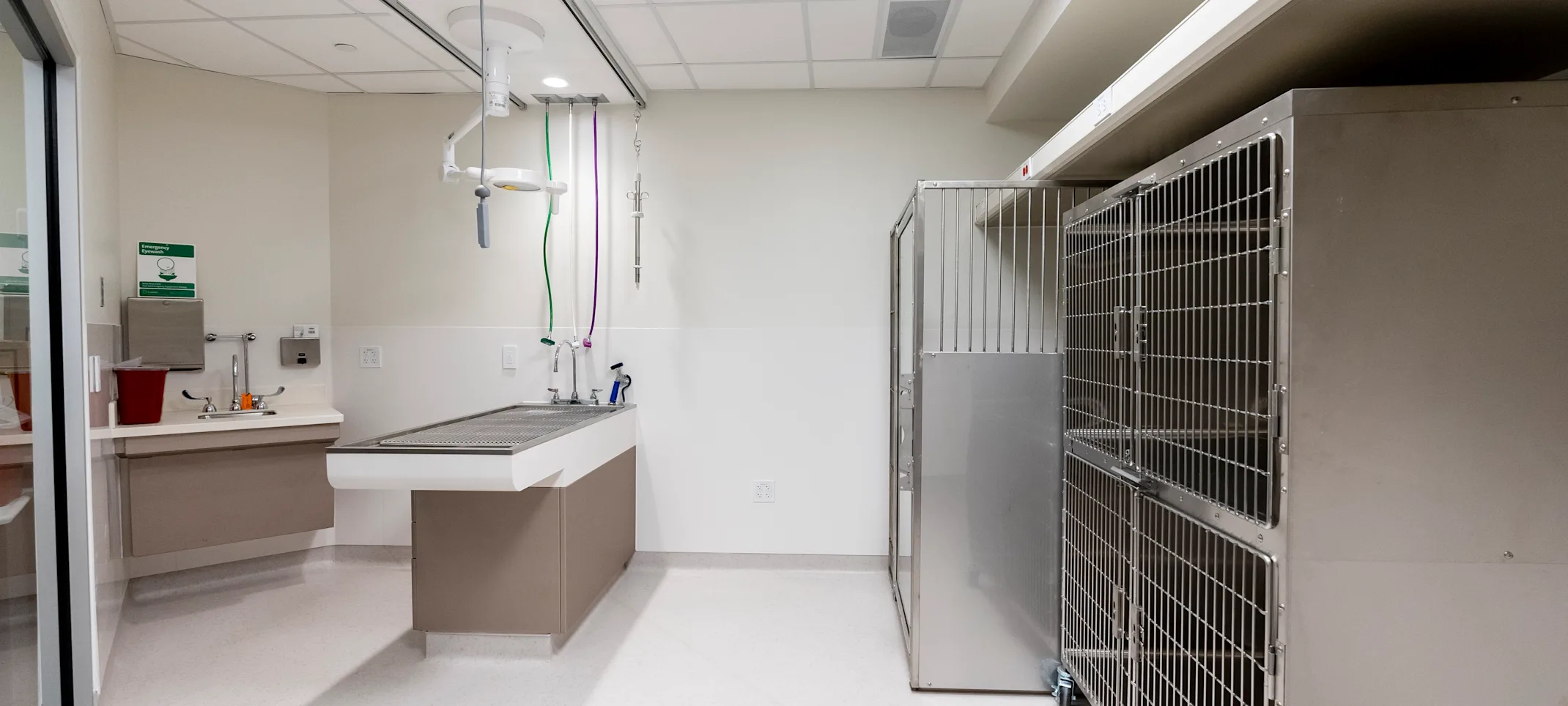 Red Bank Veterinary Hospital Tinton Falls exam room Red Bank Veterinary Hospital Tinton Falls exam room