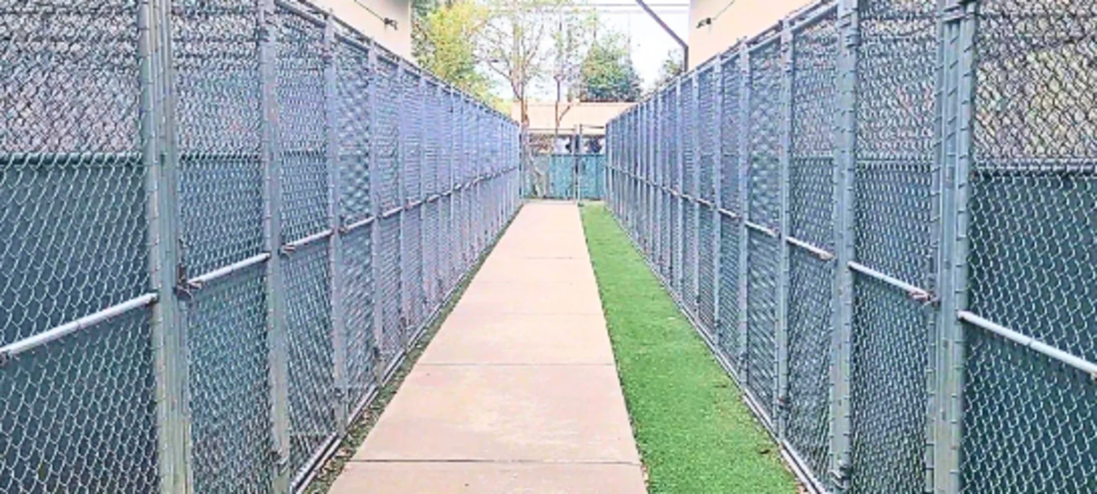 Outside Kennels at Lafayette Veterinary Care Center Outside Kennels at Lafayette Veterinary Care Center