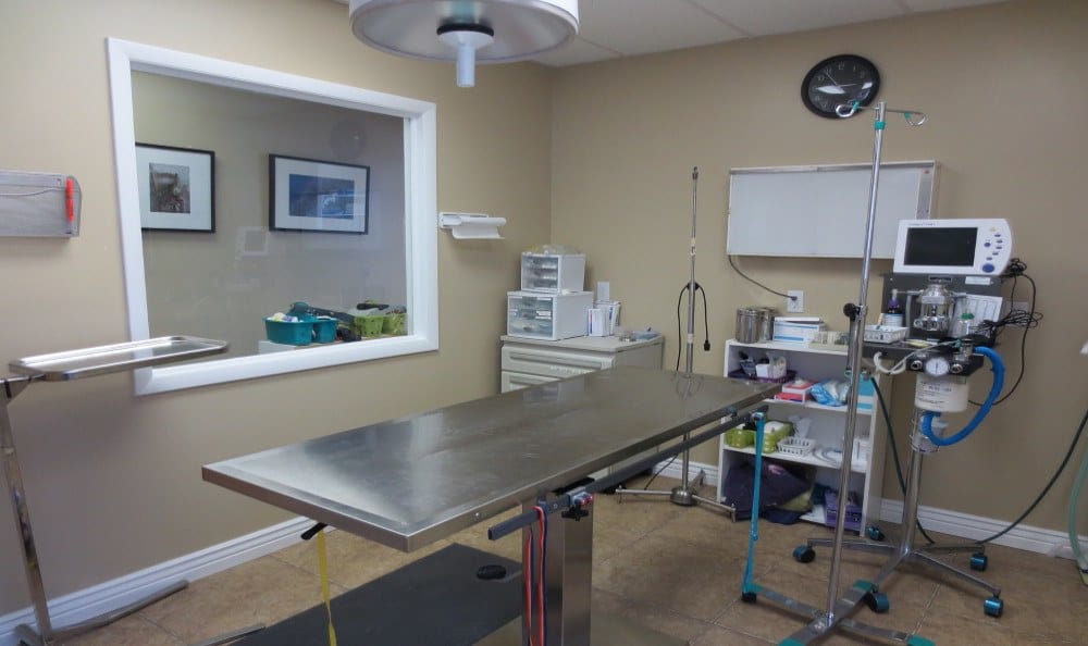 East Valley Veterinary Clinic Examination Area and table with diagnostic equipment