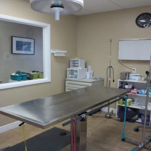 East Valley Veterinary Clinic Examination Area and table with diagnostic equipment
