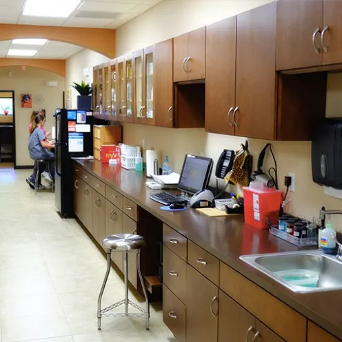 Laboratory area at Metzler Veterinary Hospital