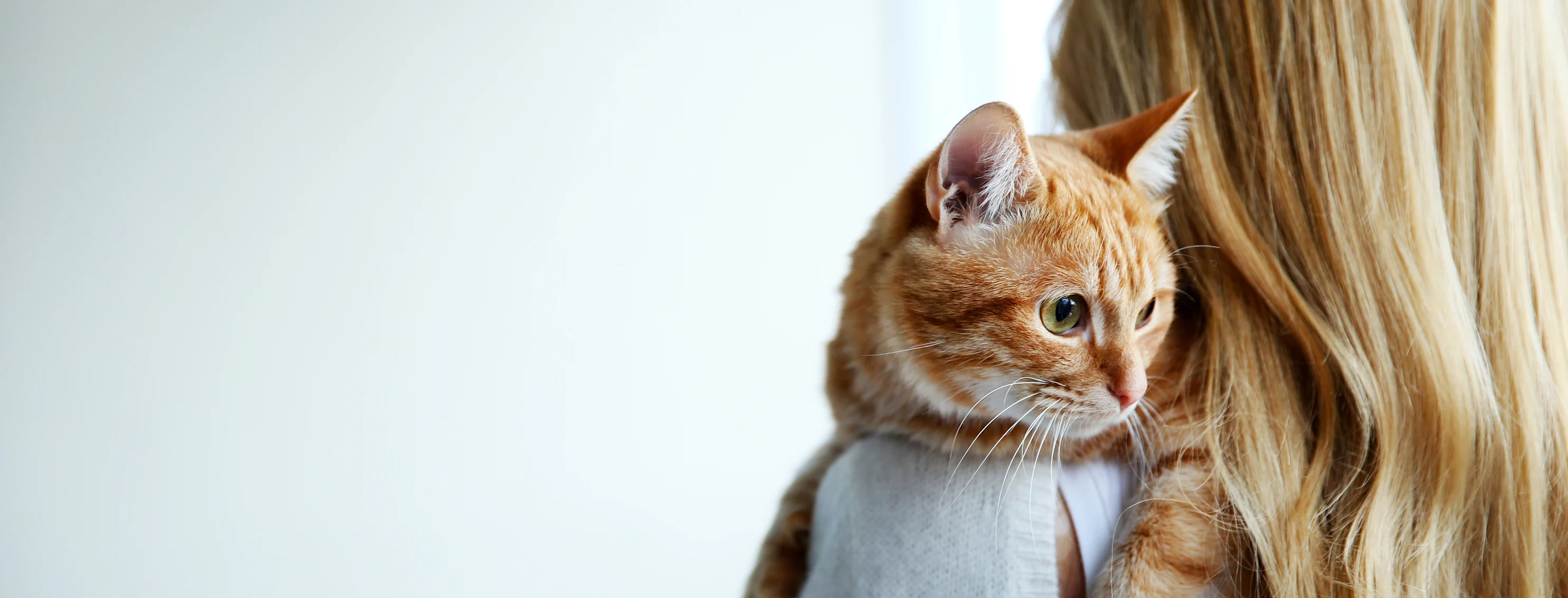 Woman holding cat